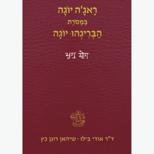 ראג'ה יוגה במסורת הבריגהו יוגה